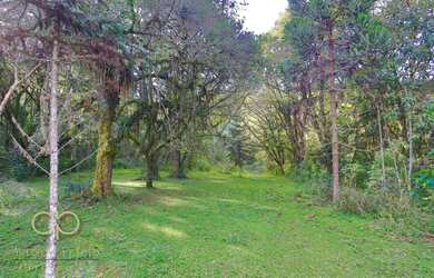 Imagem 7: Chácara com 7 dormitórios à venda, 72600 m² por R$ 2.900.000,00 - Roseira - Colombo/PR