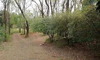 Imagem 4: Galpão em Av 24 de Outubro - São Cristóvão - Medianeira/PR