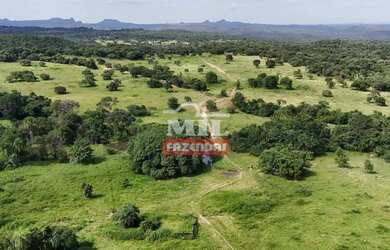 Imagem 7: Fazenda 240 alqueires ( 1.161 hectares ) Israelândia - GO
