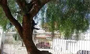 Imagem: Aluga se kitnet proximo ao metrô de Taguatinga