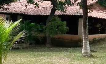 Imagem: Sítio no povoado Santa Teresa e próximo