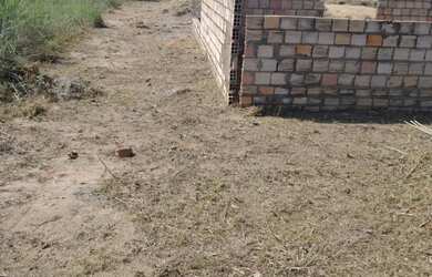 Imagem 2: Terreno João de barro