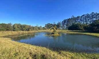 Imagem 3: Salomone vende Lindo Sítio de 13 hectares com açude