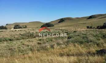 Imagem 5: Lote em Estrada Faz do Baú -juá - Interior - São Francisco de Paula/RS