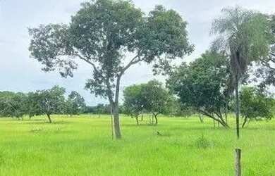 Imagem 3: LINDO SITIO A VENDA 50 HEC BEIRA RIO CUIABA