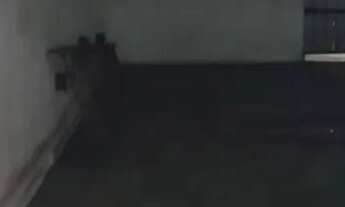 Imagem 2: Loja em Benfica Galpão / depósito com aluguel por R$2.100 /mês