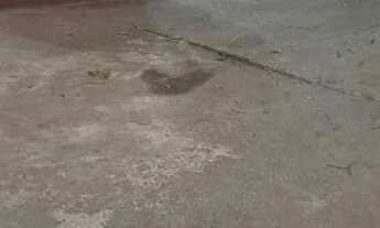 Imagem 5: OFICINA Galpão / depósito com venda por R$160.000