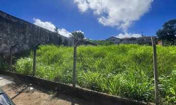 Imagem 3: COLINA DA BARRA -BARRA BONITA/SP