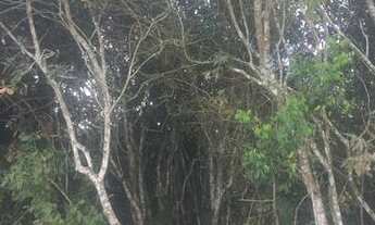 Imagem 6: Loteamento CHÃ GRANDE COUNTRY LIFE