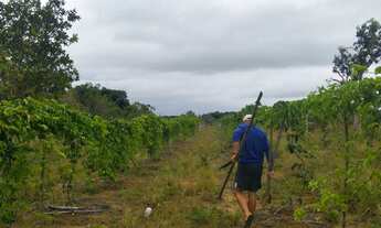 Imagem 6: Chácaras Ilha Dajuda - Praia dos Garcez