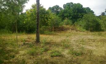 Imagem 6: Chacara de 2300 metros com muita agua 9 * WhtsAAP