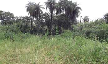 Imagem 4: Serra do Cipó Linda chácara de 1.500 m², localizada a apenas 100 metros do Rio Cipó