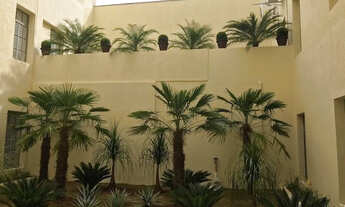 Imagem 6: Locação de Lojas-Rua Santa Ifigênia 555