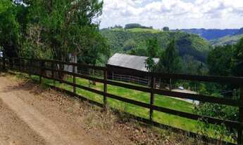 Imagem 3: Sítio 5,0 Hectares - Linha Glória - Rolante - RS