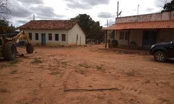 Imagem 2: Fazenda Para vc Que Tem Vocação com Pecuária