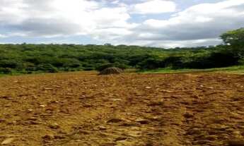 Imagem 6: Fazenda de 28 hectares com casa antiga lagoa, córrego, Baldim(Temos varias opções)
