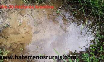 Imagem 5: Sítio 20 Hectares Arantina -Sítio Pêssego 20 Hectares