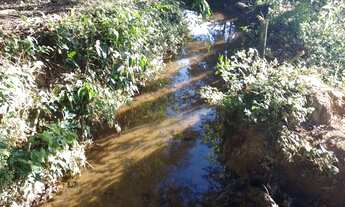 Imagem: Fazenda/Sítio/Chácara para venda possui
