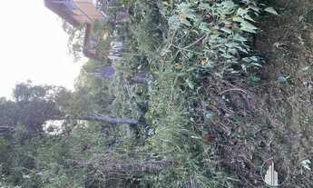 Imagem 4: Petrópolis - Terreno Padrão - Itaipava