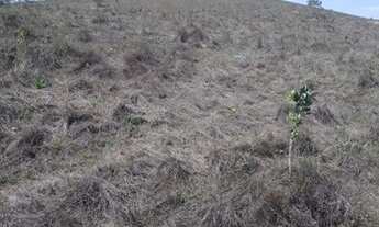 Imagem 5: Sítio 40 Hectares - Sítio 20 hectares Bocaina de Minas