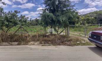 Imagem 3: Chácara Residencial para Venda no Morro Grande em Colombo, 12184.25m²