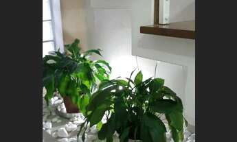 Imagem 5: Amplo Sobrado Isolado no Jardim Santa Cruz (Campo Grande