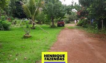 Imagem 4: Fazenda pra soja pertinho de Palmas barro vermelho e plana