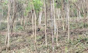Imagem 3: Terreno para venda com 24.800 m2 em Pedro do Rio - Petrópolis - RJ