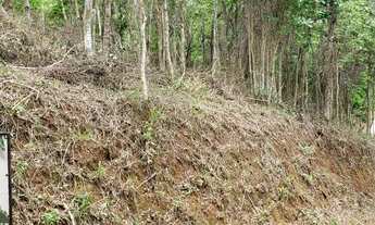 Imagem: Terreno para venda com 24.800 m2 em Pedro