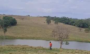Imagem 3: Fazenda 15 alqueires em Anápolis - GO