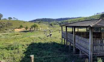 Imagem 5: Fazenda com 4 aptidões para venda com 222 hectares em Dário Meira - BA