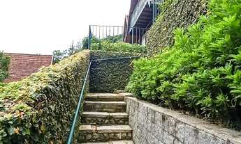 Imagem 2: Lot. Vale da Lua, local dos Eucalipto e araucária