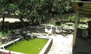 Imagem 6: Fabio Paes Imóveis - Sítio a venda com 8.650 m² bem localizado - Oportunidade!