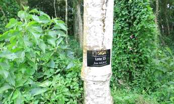 Imagem 3: Lotes exclusivos no Cônego - Lote 15