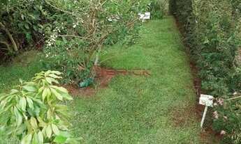 Imagem 6: TERESÓPOLIS - Casa de Condomínio - SEBASTIANA