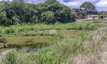 Imagem 4: Chácara Residencial para Venda no Morro Grande em Colombo, 12184.25m²