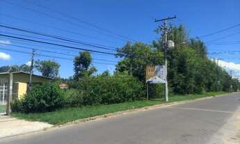 Imagem 5: Terreno em Aberta dos Morros