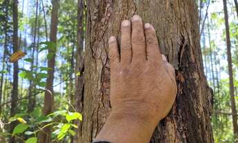 Imagem 3: Fazenda/Sítio/Chácara para venda com 200ha em Zona Rural - Córrego Danta - MG