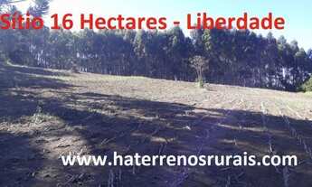 Imagem 4: Sítio 16 Hectares Liberdade - Sítio 04 Hectares Liberdade