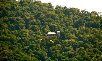 Imagem 3: Imóvel comercial/residencial em meio a Serra da Cantareira! Estuda permuta!