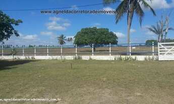 Imagem: Fazenda em Monte Alegre 86hectares