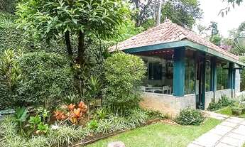 Imagem 6: Lot. Vale da Lua, local dos Eucalipto e araucária