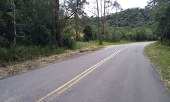 Imagem 2: Sitio no pacau 13 hectare 165.000,00