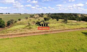 Imagem 6: Chácara 7.74 alqueires ( 37.5 hectares ) Bela Vista de Goiás - GO