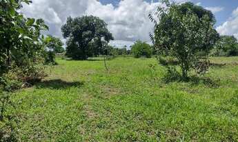 Imagem 6: São 7 heketare com mas de 85% aproveitalvel e plano, se vende todo ou fração de heketares