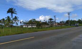 Imagem 7: Terreno para venda possui 20.000 metros quadrados em Rod. Ilhéus - Itacaré BA