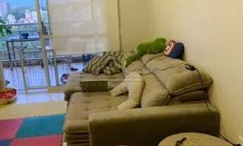 Imagem 4: Apartamento Padrão em Ribeirão Preto