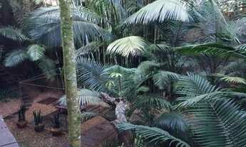 Imagem 4: Casa / Sobrado para Locação em São Paulo, Chácara Flora, 5 dormitórios, 5 suítes, 3 banhei