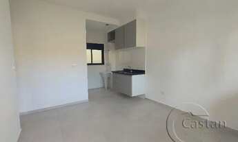 Imagem 2: Apartamento para alugar na água rasa