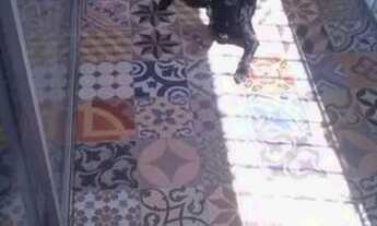 Imagem: Apartamento próximo UFPE. Tudo por 1300,00